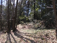Monte Cicirello